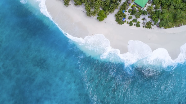 Hawaii ocean activities