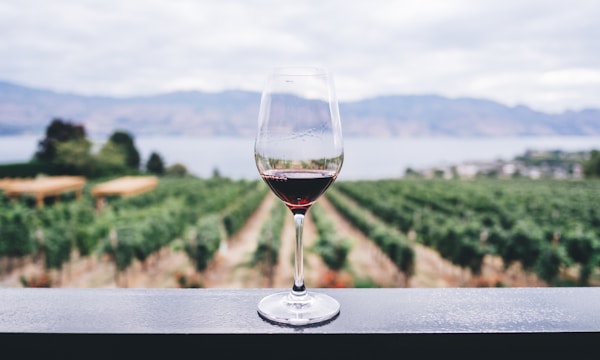 Wine tasting