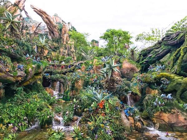 Animal Kingdom