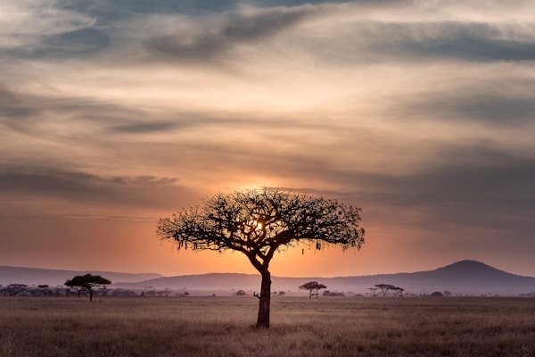 Tanzania