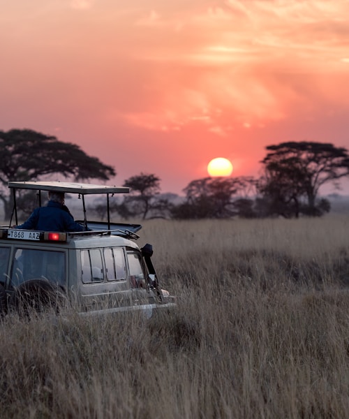 Kenya Safari Adventure