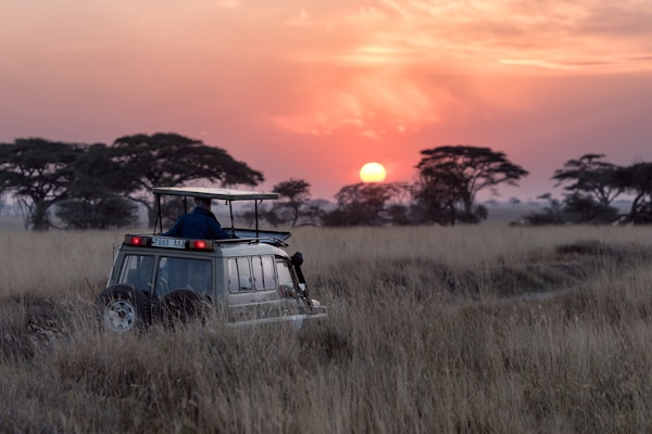 Kenya Safari