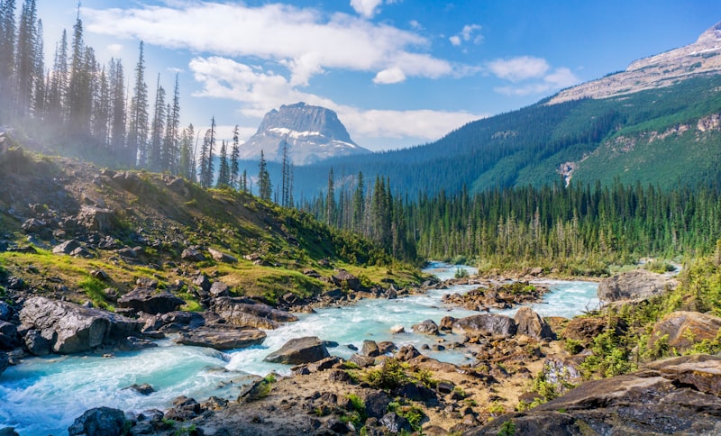 Dramatic Alaskan mountain wilderness with rushing glacial river