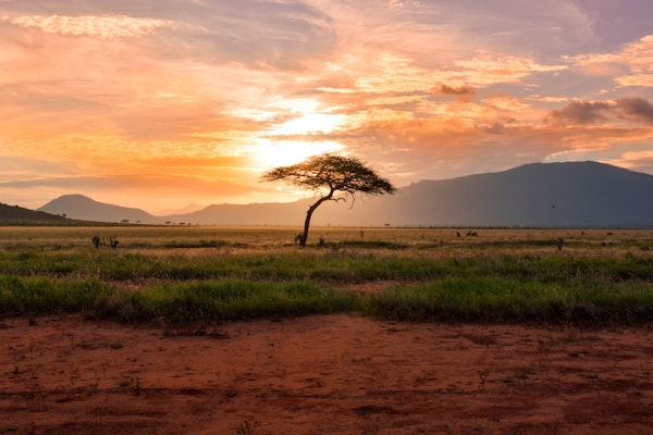 South Africa