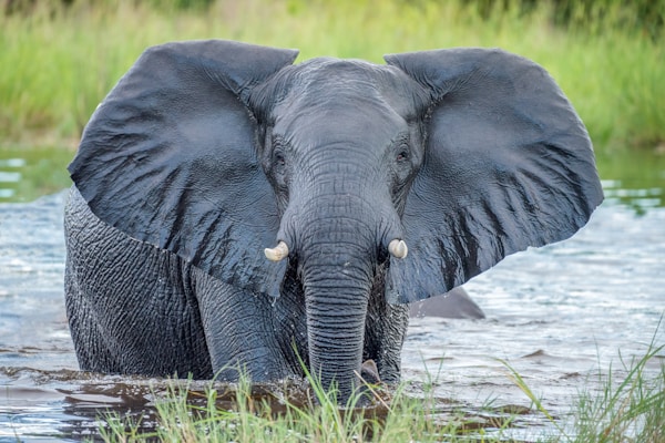 Botswana