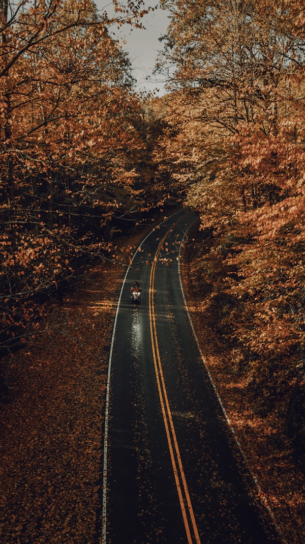 Blue Ridge Parkway autumn foliage mountain road overlook