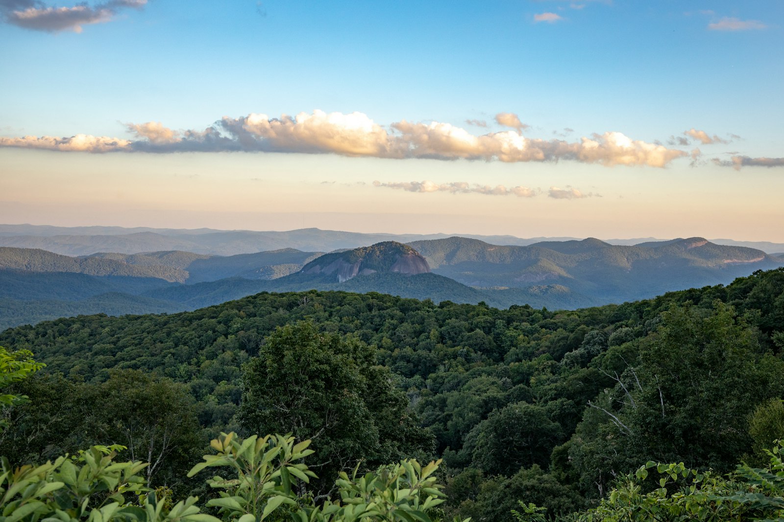 Asheville, NC