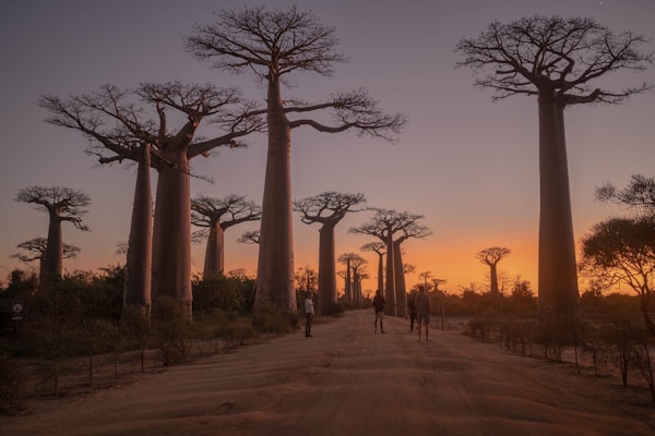 Madagascar